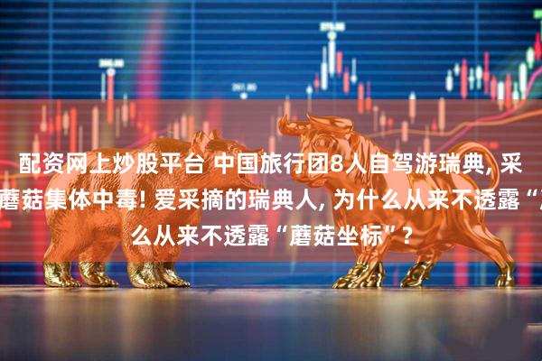 配资网上炒股平台 中国旅行团8人自驾游瑞典, 采摘食用野生蘑菇集体中毒! 爱采摘的瑞典人, 为什么从来不透露“蘑菇坐标”?